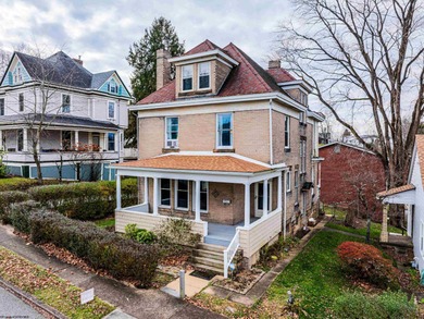 Monongahela River  Home For Sale in Westover West Virginia