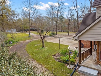 This house should check the most boxes for any serious buyer - photo 13