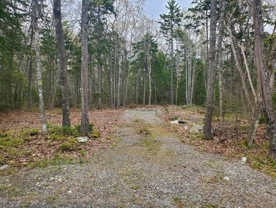 Beautiful home site in a desirable area with sounds of the - photo 1