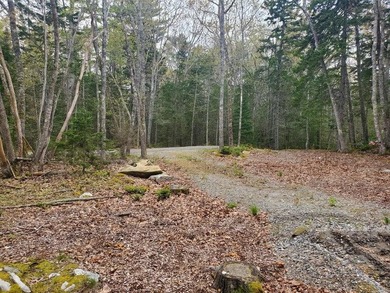Beautiful home site in a desirable area with sounds of the - photo 4
