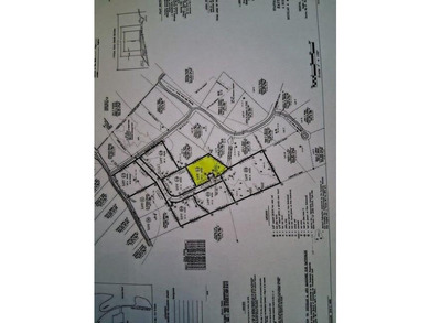 Beautiful home site in a desirable area with sounds of the - photo 5