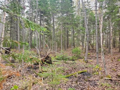 Beautiful home site in a desirable area with sounds of the - photo 6