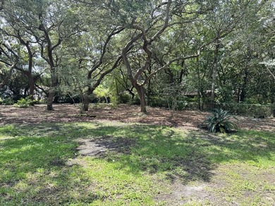 Rare .51-acre lot located in the desirable Moreno Acres - photo 33