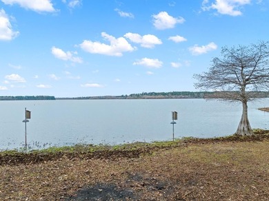 This house should check the most boxes for any serious buyer - photo 36