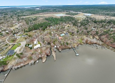 This house should check the most boxes for any serious buyer - photo 42
