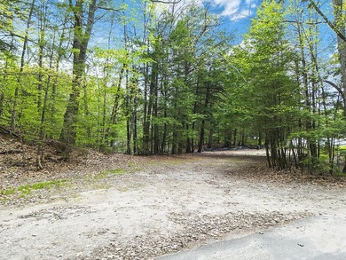 Discover the opportunity to own waterfront land on Sokokis Lake - photo 4