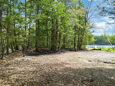 Discover the opportunity to own waterfront land on Sokokis Lake - photo 7