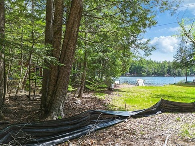Discover the opportunity to own waterfront land on Sokokis Lake - photo 8