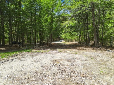 Discover the opportunity to own waterfront land on Sokokis Lake - photo 10
