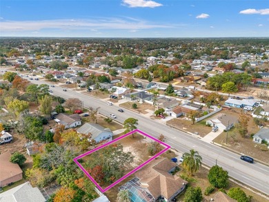 Rare opportunity to own a Residential Vacant Lot, primarily - photo 6