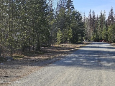 Water is provided by Priest Lake Water,LLC. Sewer provided by - photo 2