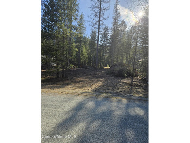 Water is provided by Priest Lake Water,LLC. Sewer provided by - photo 3