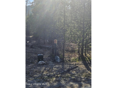 Water is provided by Priest Lake Water,LLC. Sewer provided by - photo 4
