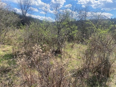 This 29.8 acre property consists of ponds, a stream, and - photo 13