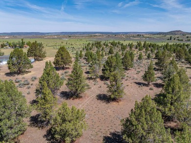 Terms Available ! Very rarely does a lot with water, sewer, and - photo 14