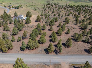 Terms Available ! Very rarely does a lot with water, sewer, and - photo 15