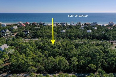 St George Plantation Gulfview-Bayview 1 Acre Lot. This charming - photo 22