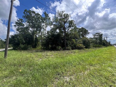 Lehigh Acres Area Lot For Sale in Lehigh Acres Florida