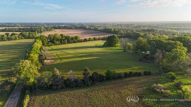 This 153.37+/--acre tract in Madison County, Mississippi - photo 38