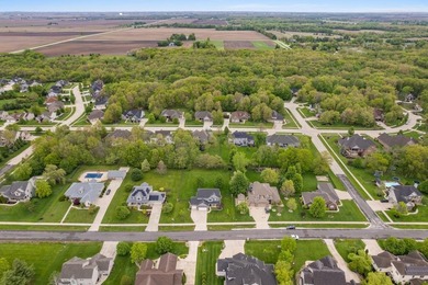 Welcome to Thornewood, one of Mahomet's most desirable - photo 43