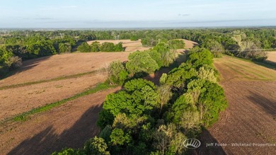 This 153.37+/--acre tract in Madison County, Mississippi - photo 44