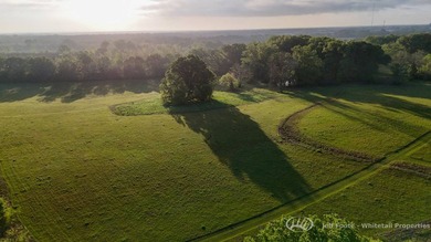 This 153.37+/--acre tract in Madison County, Mississippi - photo 50