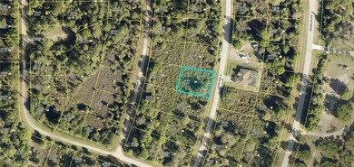 Lehigh Acres Area Lot For Sale in Lehigh Acres Florida