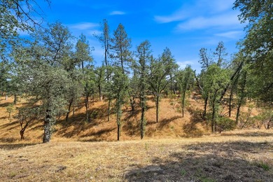 Bright beautiful custom home on 9 acres with gated driveway - photo 5