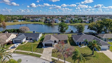 (private lake, pond, coastal) Home For Sale in New Port Richey Florida