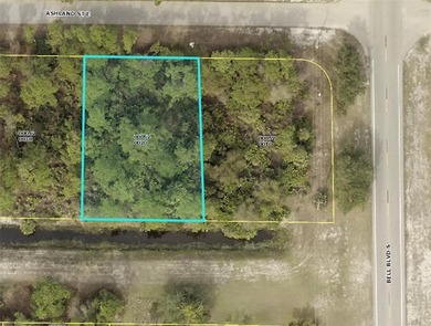 Lehigh Acres Area Lot For Sale in Lehigh Acres Florida