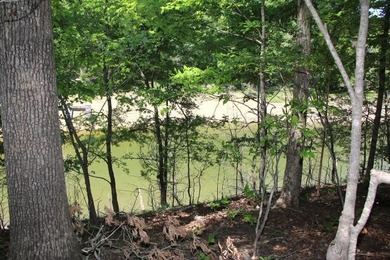 PRESTIGIOUS WALNUT RIDGE - LAKEFRONT LOT WITH DOCK & PAVED - photo 1