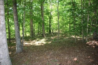 PRESTIGIOUS WALNUT RIDGE - LAKEFRONT LOT WITH DOCK & PAVED - photo 3