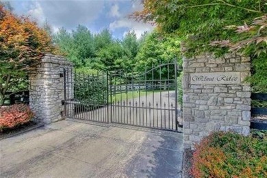 PRESTIGIOUS WALNUT RIDGE - LAKEFRONT LOT WITH DOCK & PAVED - photo 4