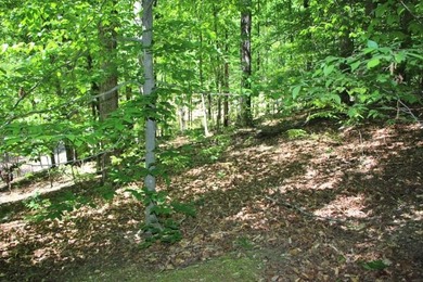 PRESTIGIOUS WALNUT RIDGE - LAKEFRONT LOT WITH DOCK & PAVED - photo 5