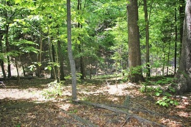 PRESTIGIOUS WALNUT RIDGE - LAKEFRONT LOT WITH DOCK & PAVED - photo 7