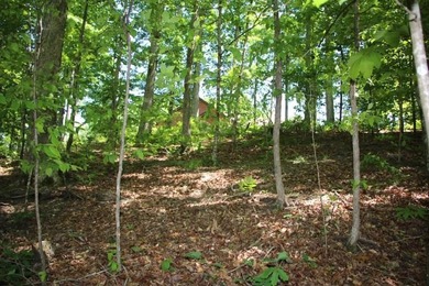 PRESTIGIOUS WALNUT RIDGE - LAKEFRONT LOT WITH DOCK & PAVED - photo 9