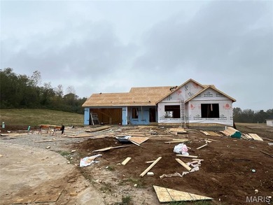 (private lake, pond, creek) Home For Sale in Labadie Missouri