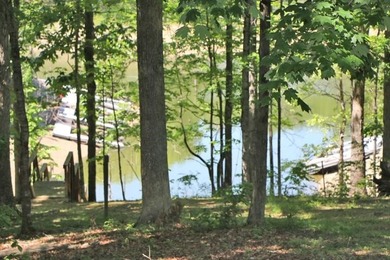DOCK, LAKE FRONT & YEAR-ROUND LAKE VIEW! LOT HAS 492' OF ROAD - photo 1