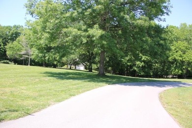 DOCK, LAKE FRONT & YEAR-ROUND LAKE VIEW! LOT HAS 492' OF ROAD - photo 3