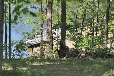 DOCK, LAKE FRONT & YEAR-ROUND LAKE VIEW! LOT HAS 492' OF ROAD - photo 4