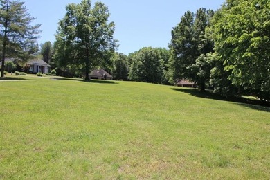 DOCK, LAKE FRONT & YEAR-ROUND LAKE VIEW! LOT HAS 492' OF ROAD - photo 5