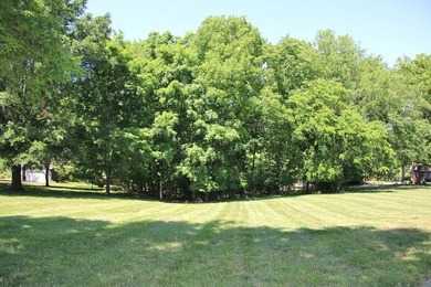 DOCK, LAKE FRONT & YEAR-ROUND LAKE VIEW! LOT HAS 492' OF ROAD - photo 6