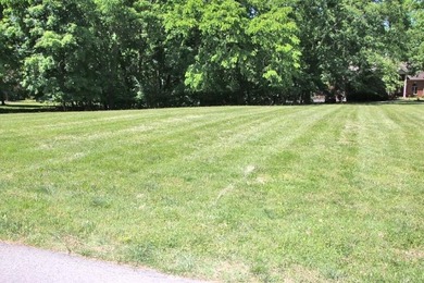 DOCK, LAKE FRONT & YEAR-ROUND LAKE VIEW! LOT HAS 492' OF ROAD - photo 7