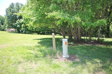 DOCK, LAKE FRONT & YEAR-ROUND LAKE VIEW! LOT HAS 492' OF ROAD - photo 8