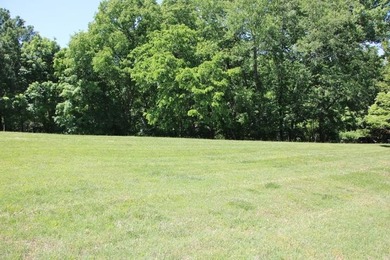 DOCK, LAKE FRONT & YEAR-ROUND LAKE VIEW! LOT HAS 492' OF ROAD - photo 9