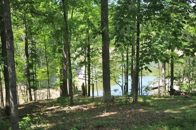 DOCK, LAKE FRONT & YEAR-ROUND LAKE VIEW! LOT HAS 492' OF ROAD - photo 10