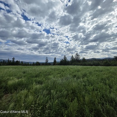 This exceptional 20-acre partially treed parcel on Harrison - photo 14