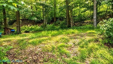 Rare opportunity to build your waterfront home on beautiful - photo 11