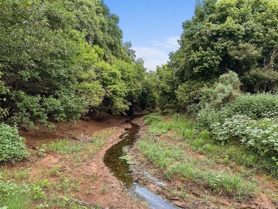 Rare opportunity to own an exceptional large-acreage - photo 21