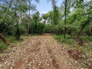 Rare opportunity to own an exceptional large-acreage - photo 22